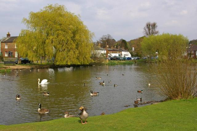West End Lodge Esher Εξωτερικό φωτογραφία